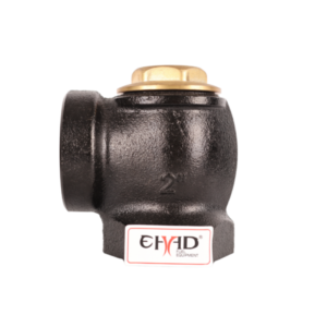 Angle Check Valve 2″ xe2x80x94 product photo