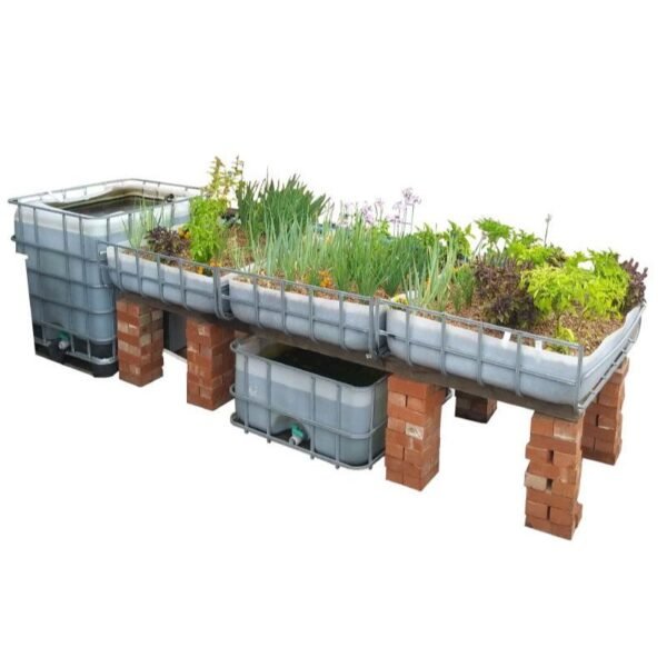 Aquaponics executive DIY starter kit — view 3