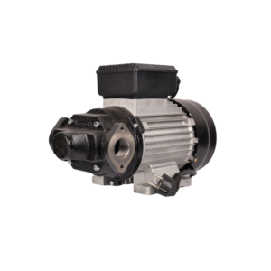 DTP-110 220V Fuel Transfer Pump xe2x80x94 product photo