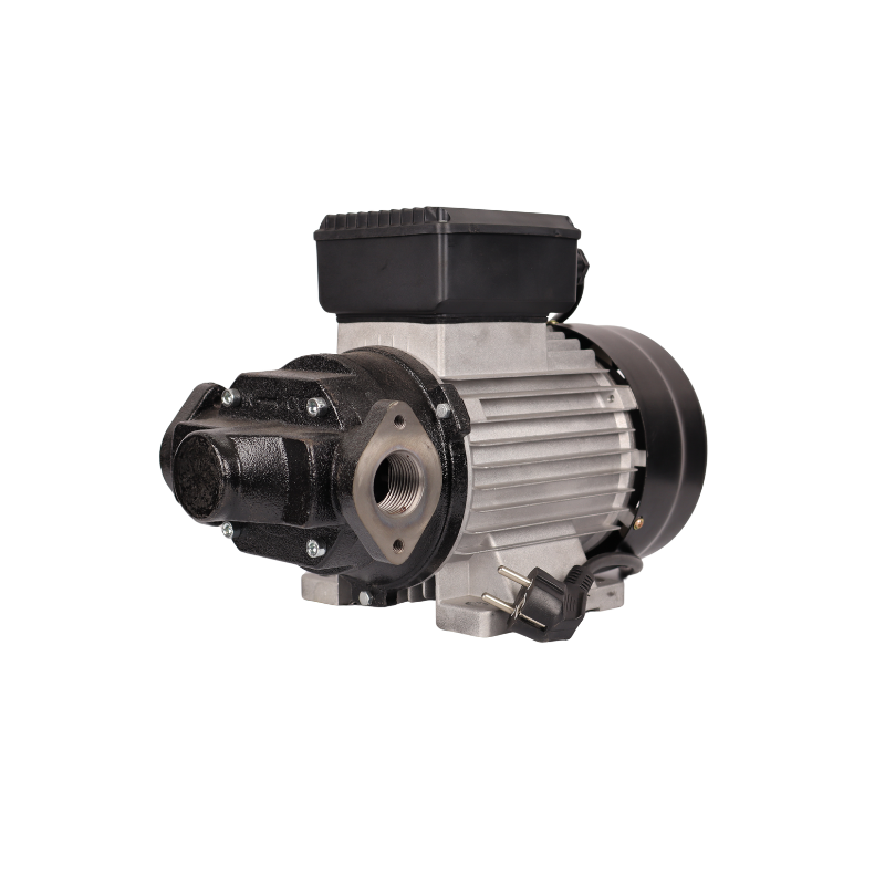 DTP-110 220V Fuel Transfer Pump xe2x80x94 product photo