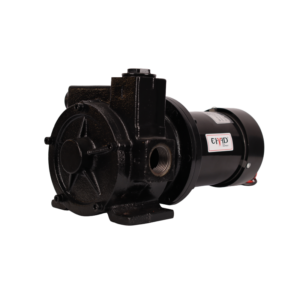 DYB-100 12V Fuel Transfer Pump xe2x80x94 product photo