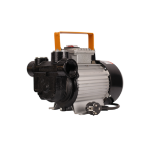 DYB-60 220V Fuel Transfer Pump xe2x80x94 product photo
