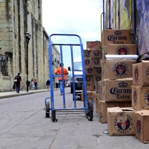 Heavy-Duty Sack/Hand Truck (300kg)