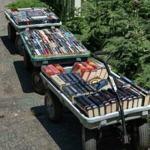 Platform Trolley (500kg, Folding)